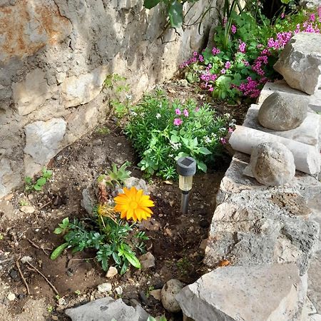 Apartmani Sanja Šibenik Стая снимка